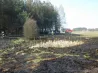 Bukowa Góra, gmina Czersk. Pożar traw i ścioły w młodniku.